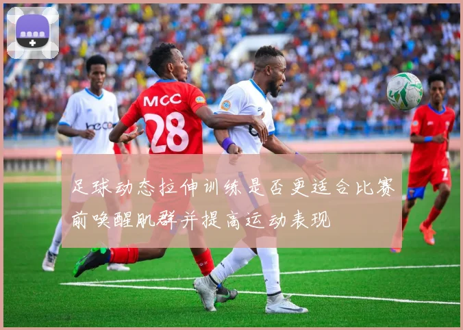 足球动态拉伸训练是否更适合比赛前唤醒肌群并提高运动表现