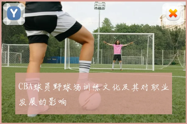 CBA球员野球场训练文化及其对职业发展的影响