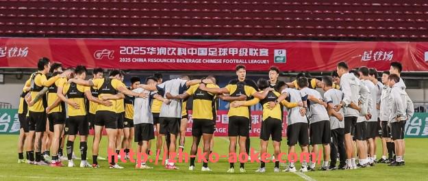 澳客足彩-法甲里昂门票销售情况及其商业潜力